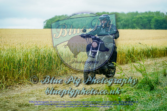 JAG01460