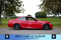 Blue Pig Photos-591