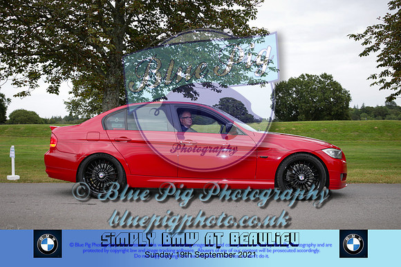 Blue Pig Photos-587