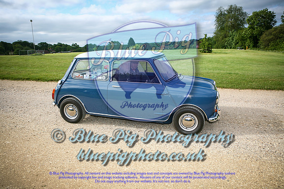IMG-10(0818)