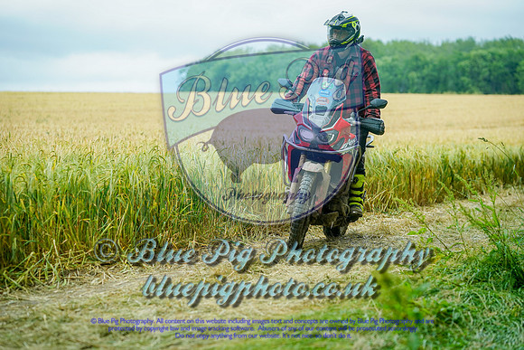 JAG01454