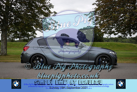 Blue Pig Photos-582