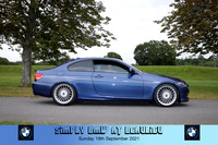 Blue Pig Photos-584