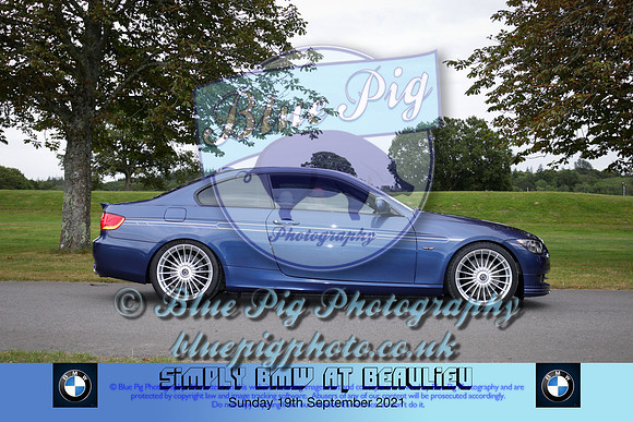 Blue Pig Photos-584