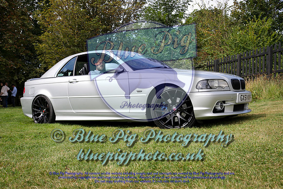 Blue Pig Photos-2