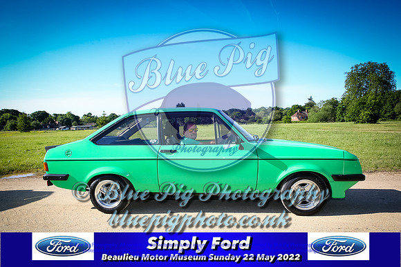 Blue Pig Photos-4-2
