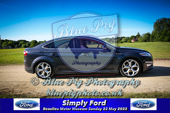 Blue Pig Photos-6-2