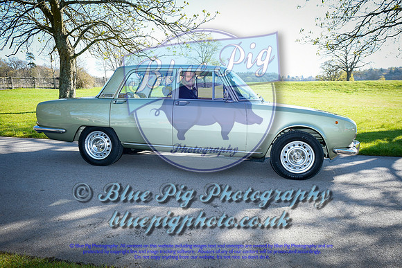 _ALF0019