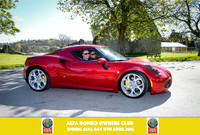Sold photos free digital download