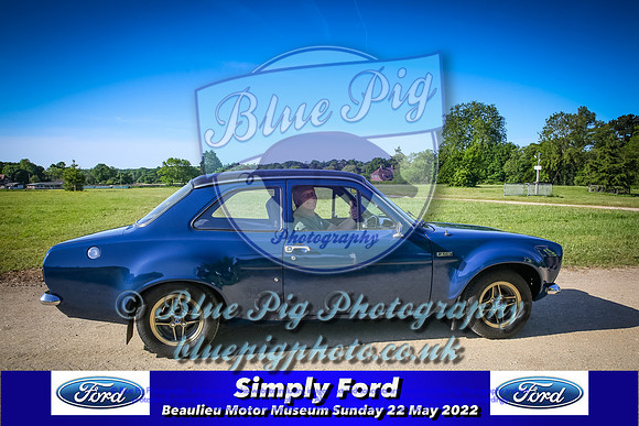 Blue Pig Photos-1-2