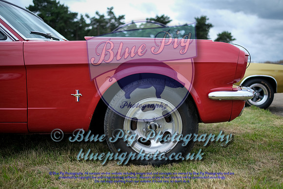 DSCF1261