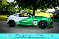 Simply Jaguar