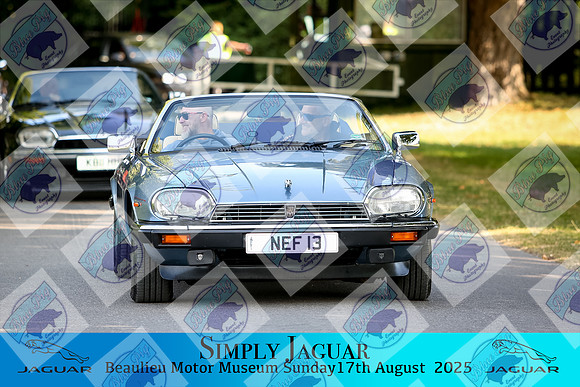 IMGM0006
