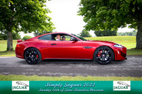 Simply Jag-6