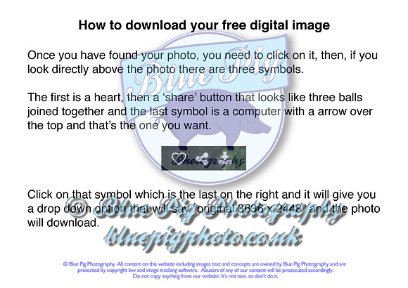 howtodownloadyourimage