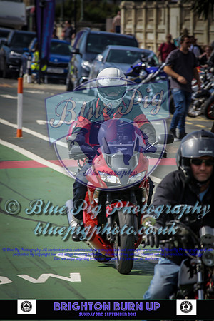 Brighton Burn2804