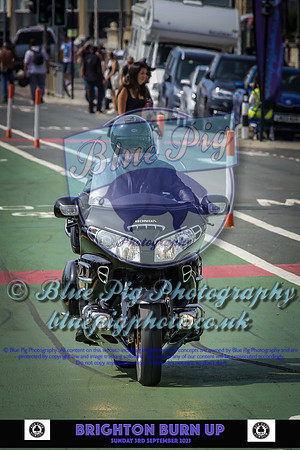 Brighton Burn2805