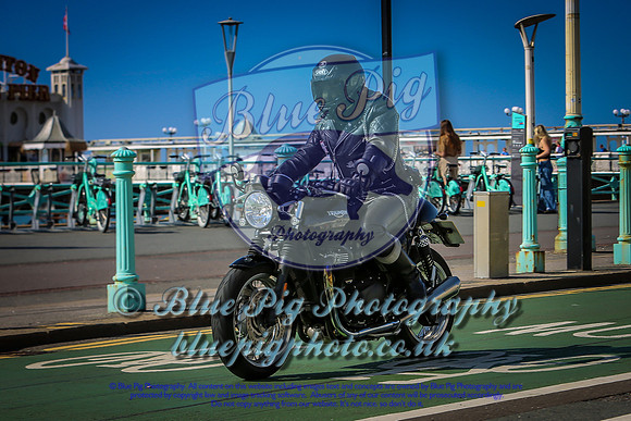 Brighton Burn-404