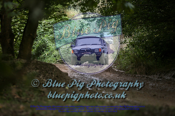 STU_3346