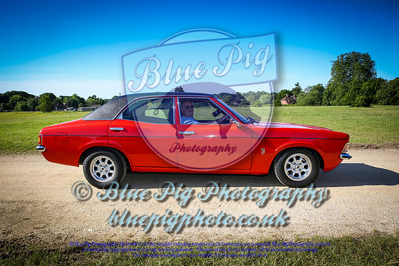 Blue Pig Photos-10