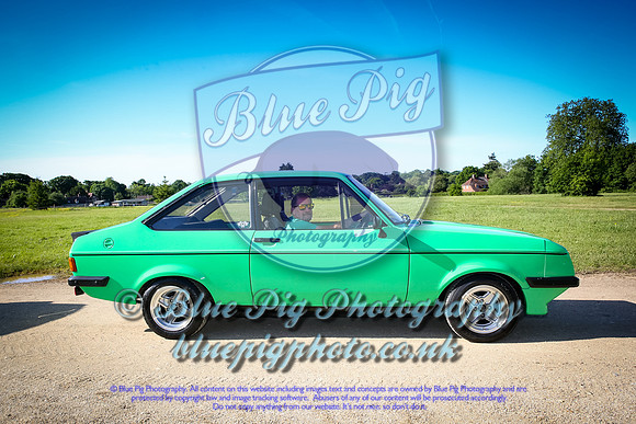 Blue Pig Photos-4