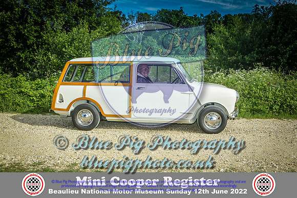 Blue Pig Photos-3-2