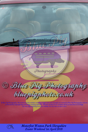 IMG-0585-2