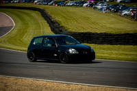 _LYD1174