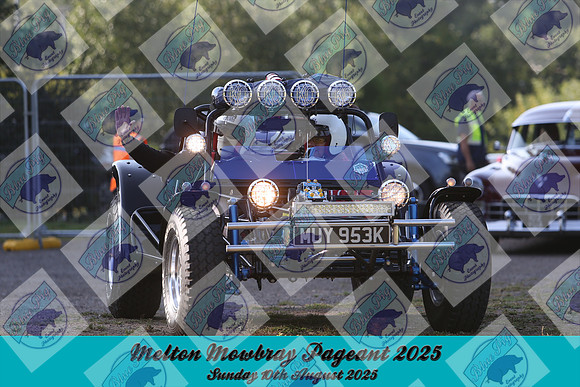COG-0203-1