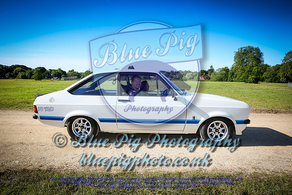 Blue Pig Photos-9