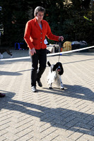 DSA_0134