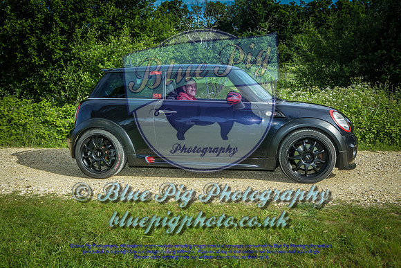 Blue Pig Photos-2
