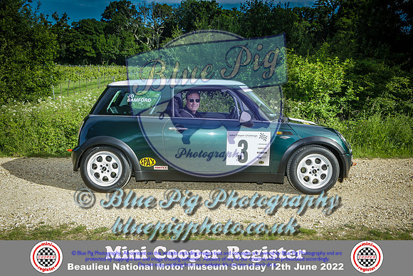 Blue Pig Photos-1-2