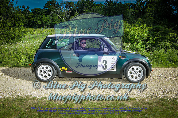 Blue Pig Photos-1