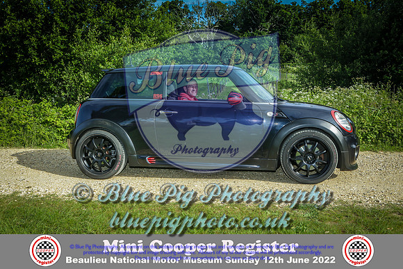 Blue Pig Photos-2-2