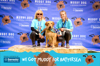 Battersea Muddy Dog 2019