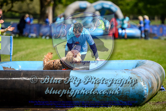 AAA_1666