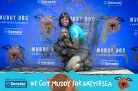 Muddy Dog Windsor Great Park