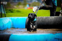 Obstacle photos