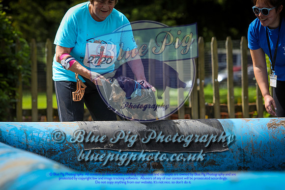 untitled-0016-2
