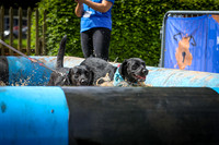 untitled-0025-2