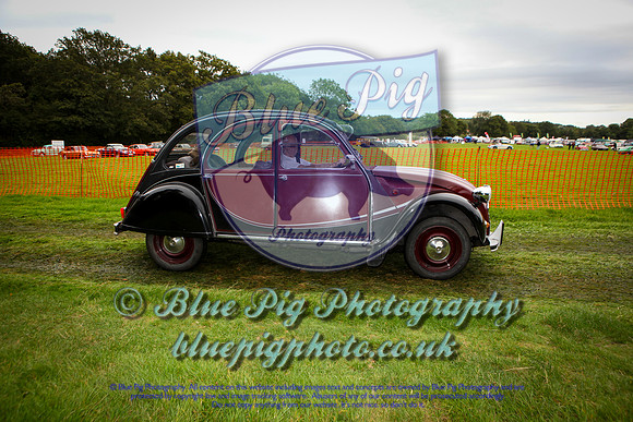 IMG_0009-Time-0852