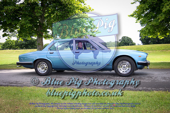 Simply Jag-4-2