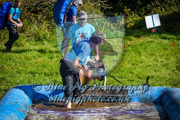 AND_0018