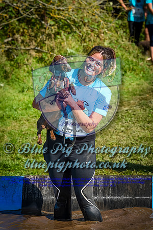 AND_0593