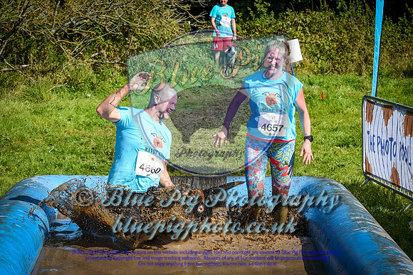 AND_0576