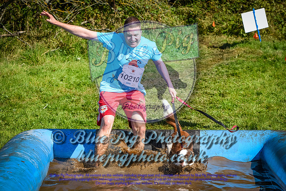 AND_0579