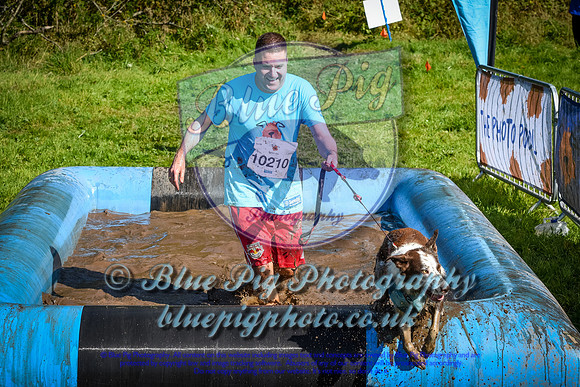 AND_0581