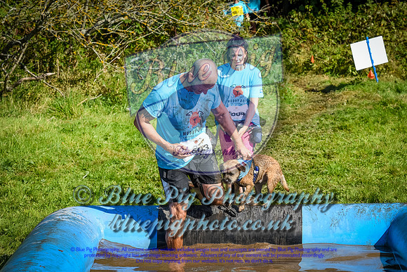 AND_0582