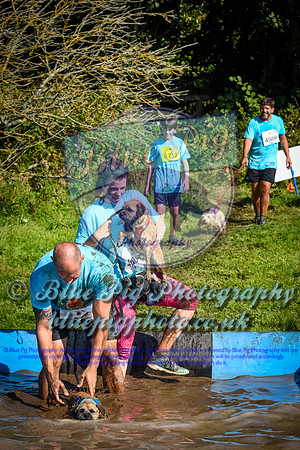 AND_0583